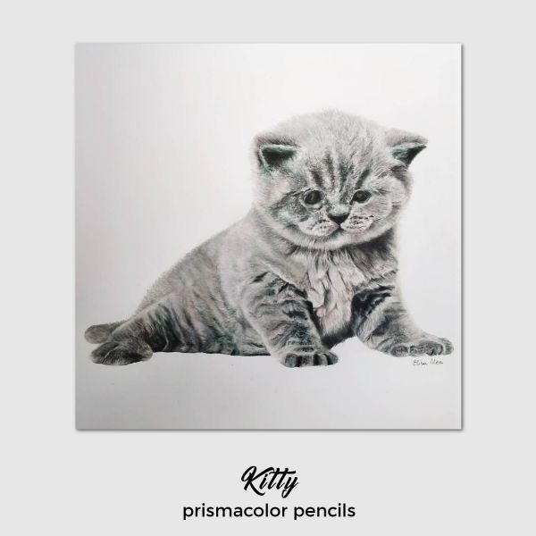 Kitty - September 2019